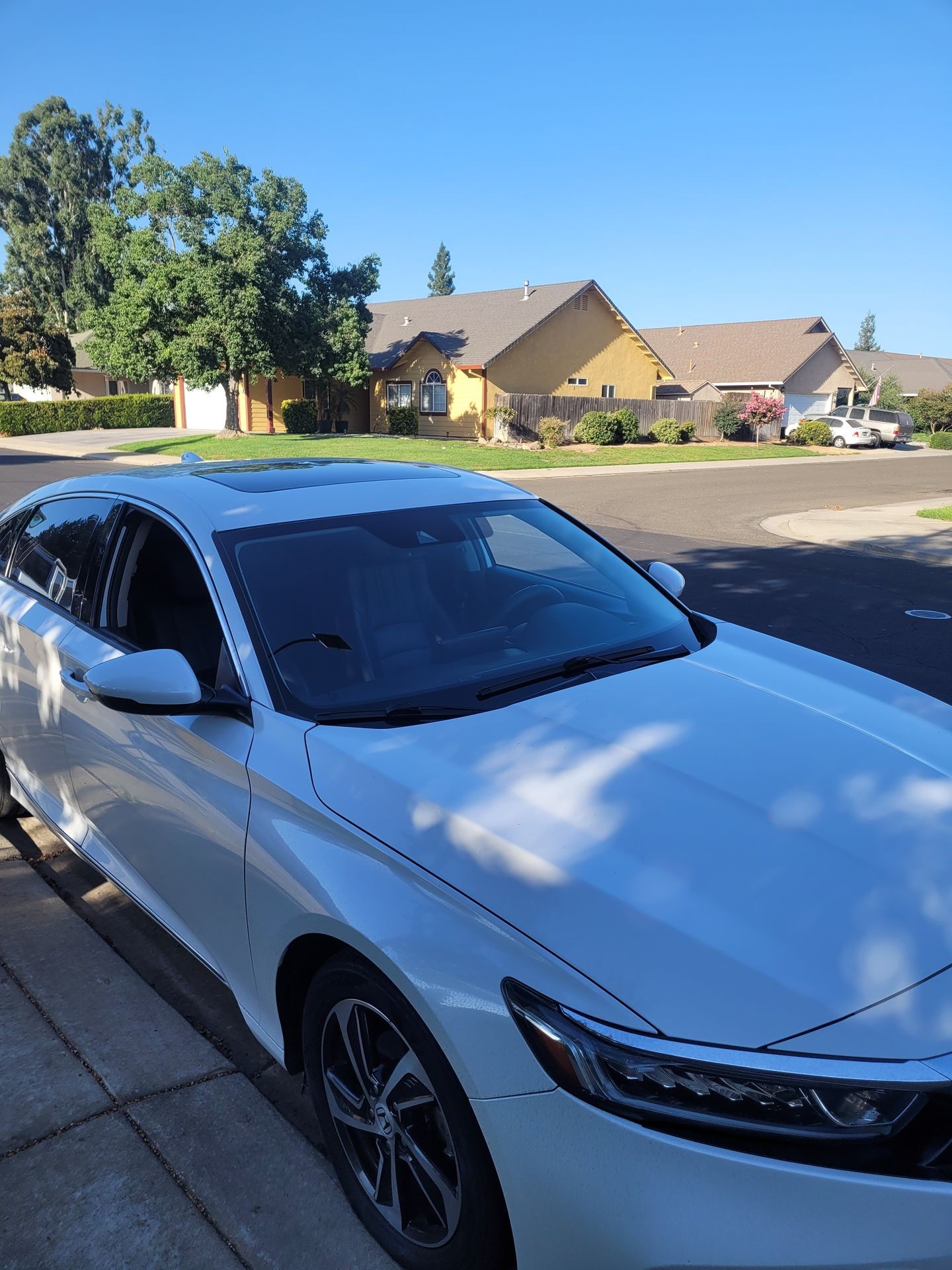 Windshield Replacement